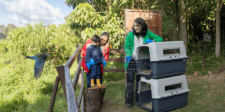 Liberación de aves silvestres rescatadas en el humedal La Conejera de Bogotá, con transportadoras de fauna y personas observando el retorno de los animales a su hábitat natural.