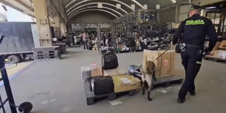 Un Policía con un perro revisando unas cajas 