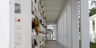Foto que muestra un cementerio con flores