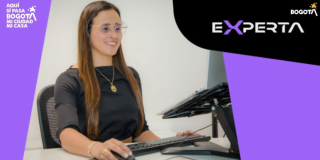 Imagen de una mujer al frente de un computador
