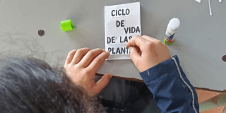 Estudiante elabora un fanzine ecológico con texto literal “CICLO DE VIDA DE LAS PLANTAS” durante actividad pedagógica de educación ambiental en Ciudad Bolívar.