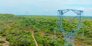 Foto que muestra una antena de energía y árboles 