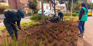 Personal del Jardín Botánico realiza labores de recuperación y mantenimiento floral en jardinera del barrio Palermo.