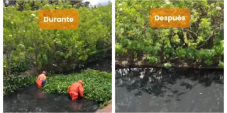 Foto que muestra personas limpiando el Humedal Jaboque en Bogotá.
