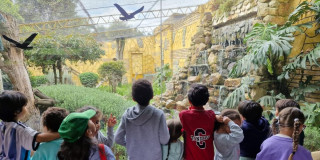Niñas y niños de Centros Proteger visitando el Parque Jaime Duque
