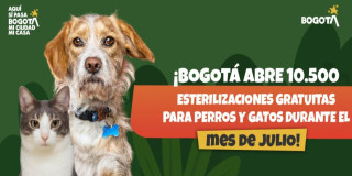 Perro y gato junto a pieza gráfica con texto literal: “¡Bogotá abre 10.500 esterilizaciones gratuitas para perros y gatos durante el mes de julio!”