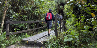 Foto que muestra personas caminando por un sendero ecológico