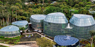 Vista aérea del Tropicario del Jardín Botánico de Bogotá con módulos de vidrio rodeados de vegetación abundante
