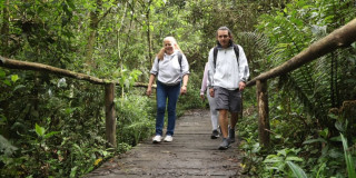 Participantes recorren sendero ecológico en bosque de Bogotá durante caminata ecológica organizada por la Secretaría Distrital de Ambiente.
