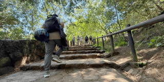 Personas ascienden por el sendero peatonal de Monserrate en Bogotá, recorriendo escalones rodeados de vegentación.
