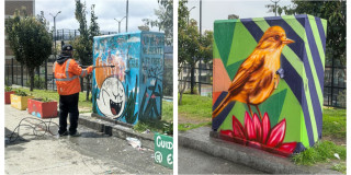 Foto que muestra en un lado una persona limpiando una pared y en el otro lado un grafiti de un pajaro 
