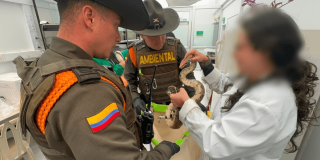 Foto que muestra dos policías y una mujer sosteniendo una boa con las manos