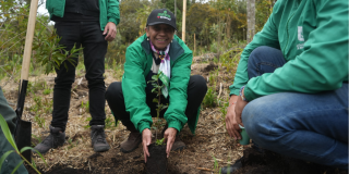 Foto de funcionarios del Distito en una jornada de recuperación