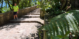 Sendero peatonal de Monserrate con escalones en piedra rodeados de abundante vegetación.
