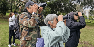 Grupo de personas observa aves con binoculares durante una jornada de avistamiento en un parque de Bogotá.