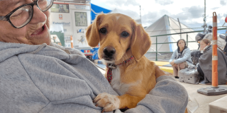 Perro cachorro en los brazos de una mujer.