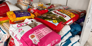 Sacos de alimento para perros y gatos almacenados en un centro de acopio en Corferias para donarse a animales de compañía afectados tras sismo de magnitud 7,4 registrado el lunes 10 de agosto.