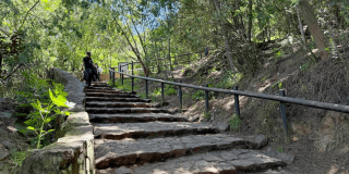 Escalinata de piedra del sendero de Monserrate rodeada de árboles y vegetación, con barandas metálicas y una persona caminando entre los Cerros Orientales de Bogotá.