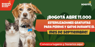 Pieza gráfica con ilustraciones de un perro y un gato sobre fondo verde con mensaje que dice: ´¡Bogotá abre 11.000 esterilizaciones gratuitas para perros y gatos durante el mes de septiembre!´.