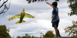 Persona eleva una cometa con forma de avión durante una jornada al aire libre en Bogotá bajo un cielo nublado.