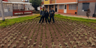 Operarios del Jardín Botánico de Bogotá exhiben la nueva jardinera del barrio Quirigua de la localidad de Engativá