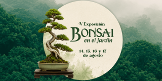 Pieza gráfica promocional de la V Exposición Bonsai en el Jardín.