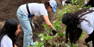 Jóvenes en una jornada de voluntariado ambiental en la UPI Perdomo,