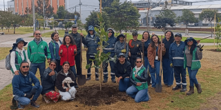 Grupo de personas posa alrededor de un árbol recién sembrado durante una jornada de siembra y restauración ecológica en Bogotá.
