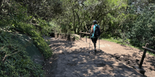 Persona desciende por el sendero de Monserrate utilizando bastones de apoyo, sobre un tramo empedrado rodeado de vegetación y árboles.