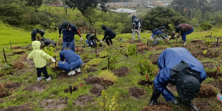 Personas participan en una jornada de restauración ecológica en el Parque Arqueológico y del Patrimonio Cultural de Usme.