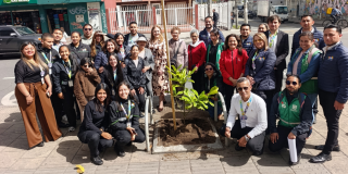 Grupo de personas y personal del Jardín Botánico de Bogotá durante una jornada de renaturalización en Plaza de las Américas