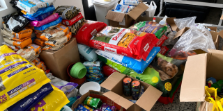 Foto de insumos y alimentos para animales de compañía