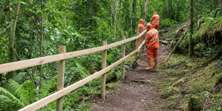 Foto que muestra tres personas instalando barandas en madera en un sendero ecológico 