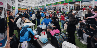 Foto que muestra varias personas participando en la jornada de adopción de mascotas