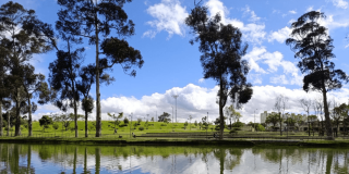 Cuerpo de agua que refleja el cielo y la vegetación circundante, rodeado por árboles altos y zonas de pasto verde. Al fondo se observan amplias áreas verdes y una fila de edificaciones bajo un cielo azul con nubes blancas dispersas.