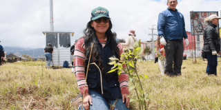 Persona participante de una actividad ambiental sostiene una plántula junto a vegetación nativa en un humedal de Bogotá, durante una jornada de formación y conservación ambiental.