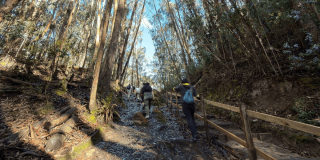 Foto que muestra gente caminando en un sendero ecológico 
