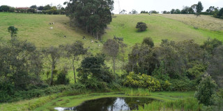 Agua subterránea o áreas de recarga natural.