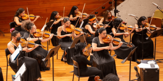 Imagen de mujeres tocando violín pertenecientes a la Orquesta Filarmónica de Mujeres
