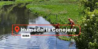 Foto que muestra el Humedal La Conejera 