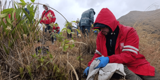 Personal con chaquetas rojas e impermeables realiza labores de restauración ecológica y siembra de plantas nativas en una ladera de montaña con vegetación seca, bajo un cielo nublado.