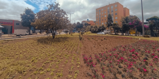 Jardinera con hileras de plantas ornamentales y flores rosadas en una zona verde urbana de Bogotá.
