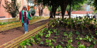 Jardinera intervenida con tierra removida y nuevas plantas ornamentales de follaje verde. Un borde amarillo delimita el área sembrada. Al fondo se observan árboles, vegetación y un sendero peatonal donde transitan personas de Bogotá.