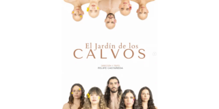 Imagen promocional de la obra en la que se ve en la parte inferior varias personas y en la parte superior las mismas personas sin cabello.