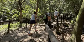 Personas recorren el sendero peatonal de Monserrate entre árboles y vegetación. El camino está pavimentado con piedra y cuenta con barandas de madera a ambos lados.