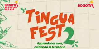 Pieza gráfica con fondo color crema cuadriculado y elementos ilustrados en verde. En el centro aparece el texto: “TINGUA FEST 2” en letras naranjas y verdes, acompañado del mensaje “siguiendo las aves, cuidando el territorio”.