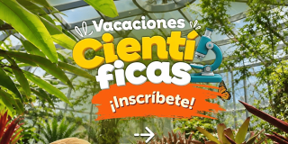 Pieza gráfica promocional de las Vacaciones Científicas del Jardín Botánico de Bogotá. Sobre un fondo con vegetación y elementos naturales aparece el texto destacado “Vacaciones Científicas” y la invitación “¡Inscríbete!”.