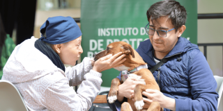 Persona con chaqueta clara y gorro azul extiende las manos hacia un perro de pelaje marrón con pecho y patas blancas, mientras otra persona con gafas y chaqueta azul sostiene al animal en sus brazos.