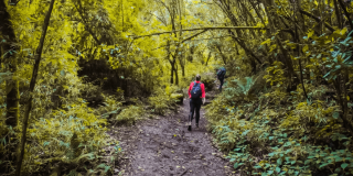 Foto que muestra una persona caminando por un sendero ecológico 