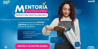 Pieza publicitaria del programa Mentoría Internacional de la Alcaldía de Bogotá